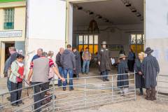 Warten auf die ersten Tiere im Ausstellungsring